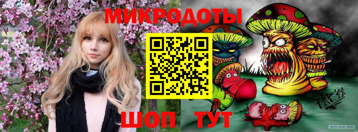 Псилоцибиновые грибы GOLDEN TEACHER  купить наркотики сайты  Вход с VPN  Избербаш  Псилоцибиновые грибы ЛСД 