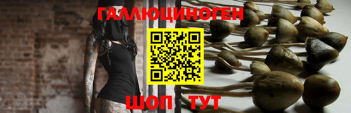Псилоцибиновые грибы прущие грибы Избербаш